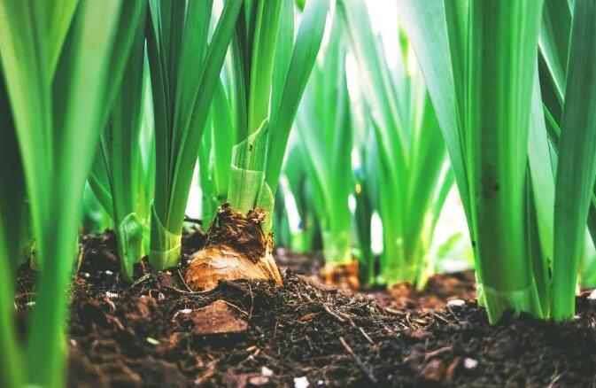 sbti科学碳目标对可持续农业种植设定温室气体碳减排