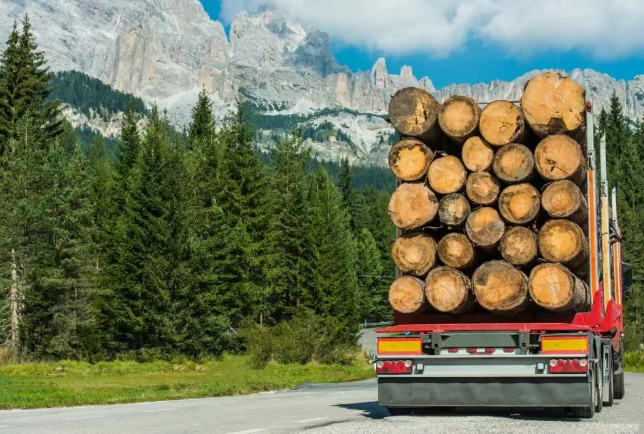 sbti科学碳目标对企业标准草案旨脱碳设定可持续碳目标