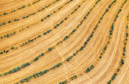 sbti科学碳目标对土地可持续发展新增规范标准要求